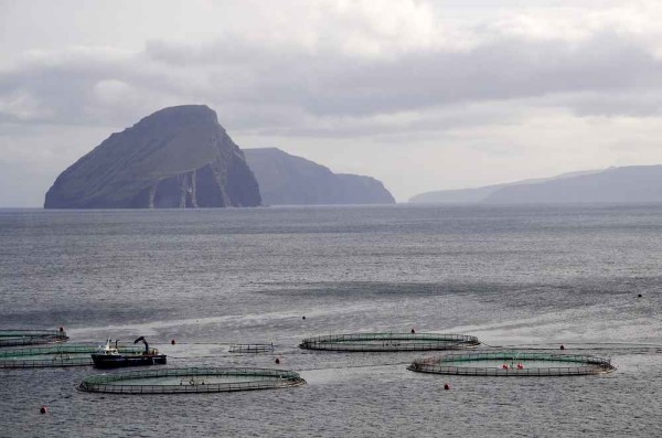 Ферма по выращиванию лосося, Норвегия