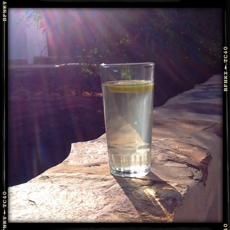 water and lemon pic 2