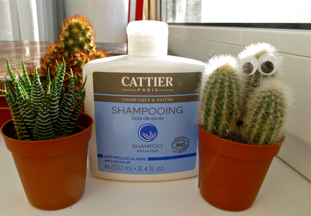 Protiv perhoti shampoos 1
