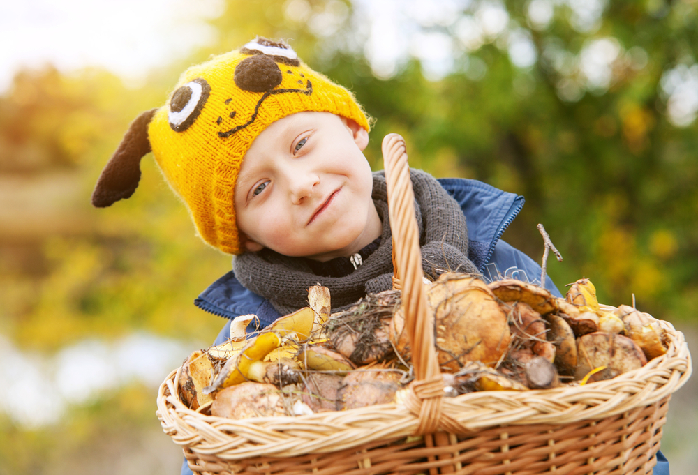 Boy in a funny hat with basket full of mushrooms