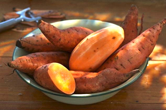 batat sweet potato 1