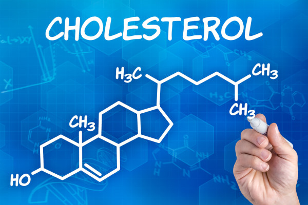 Cholesterol Cholesterin
