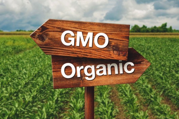 gmo organic farming f