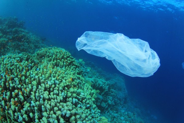 plastic pollution ocean