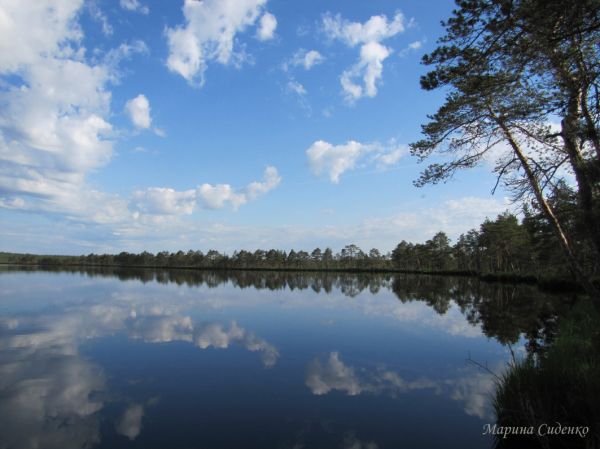 Фото: озеро Вервижское, Смоленское поозерье