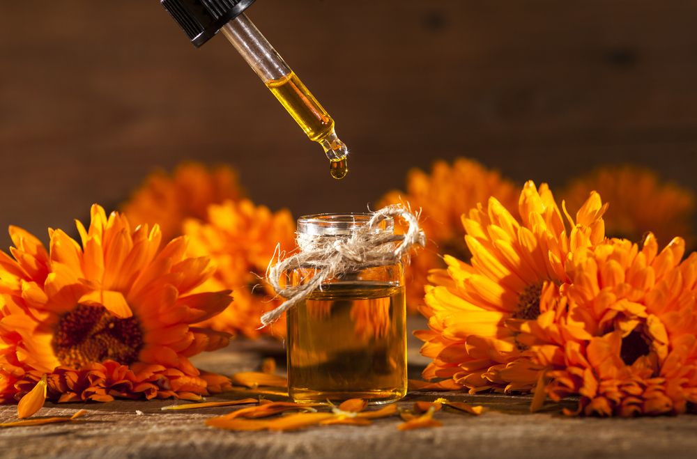 Essential oil marigold calendula