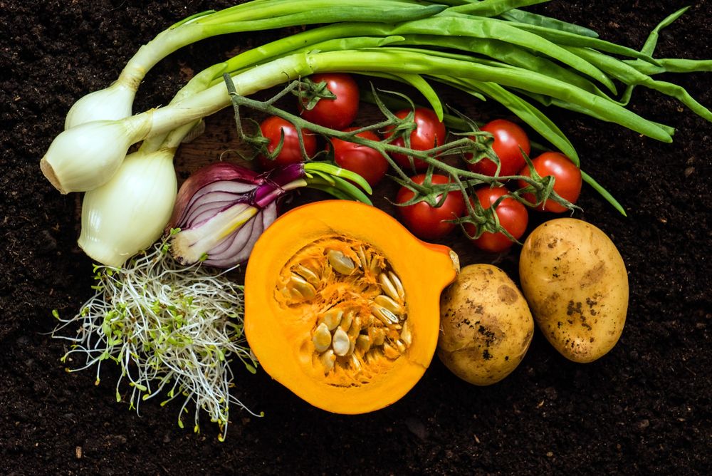 fresh-organic-vegetables