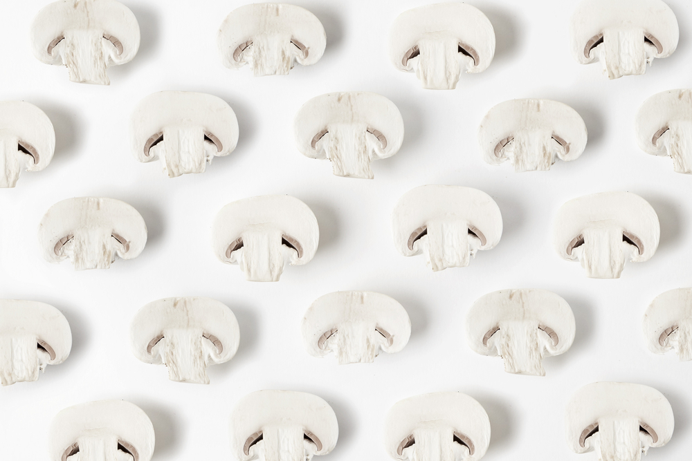 Champignon mushroom white minimalism