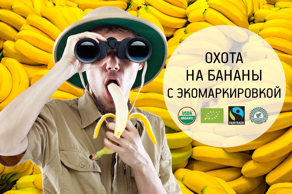 banana-oxota
